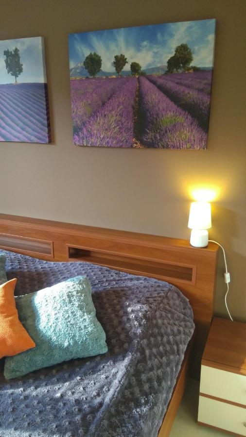 City Center Apartment Słupsk Dış mekan fotoğraf